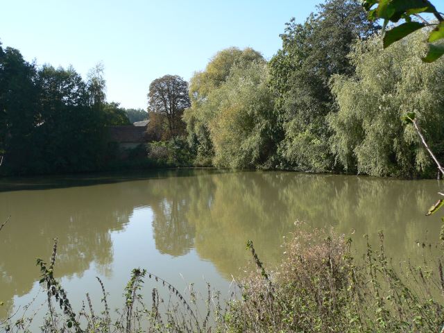 obec